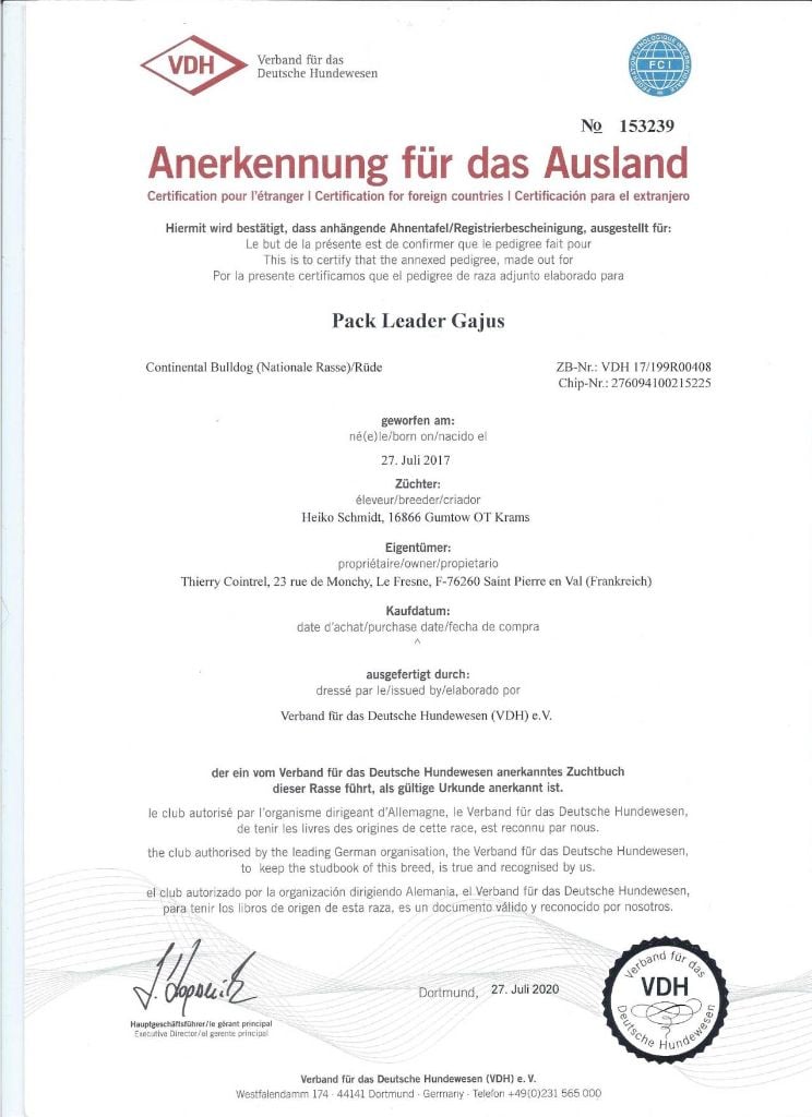 CH. pack leader Gajus