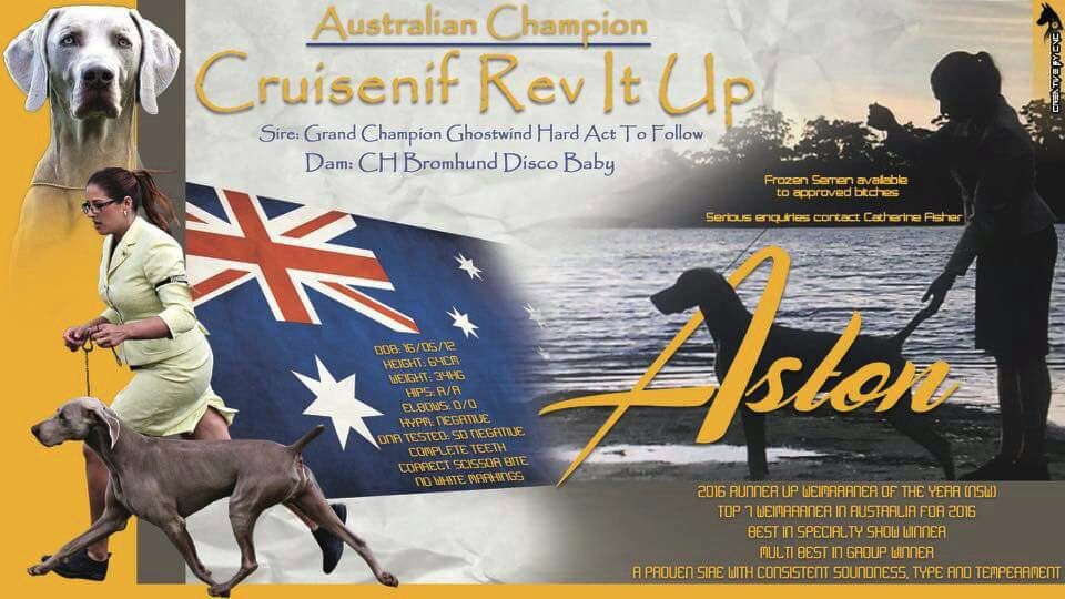 Publication : The Wittelsbach Del Monte Alban