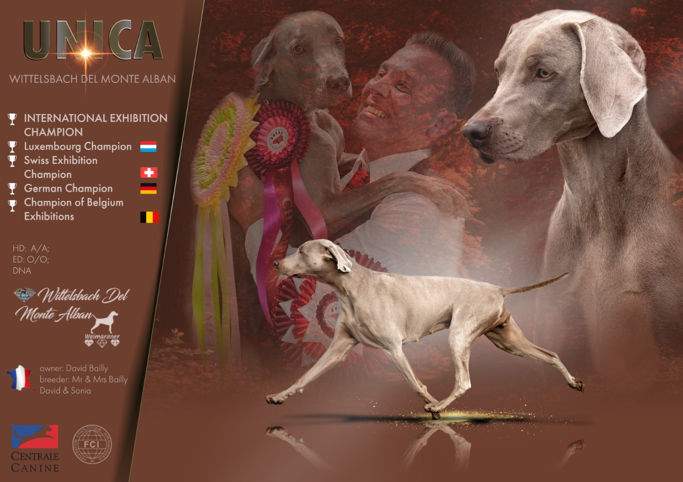 CH. Unica The Wittelsbach Del Monte Alban - 1er Exc Class Open + CACS + BOS