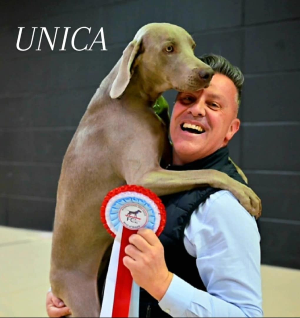 CH. Unica The Wittelsbach Del Monte Alban - 1er ExlClass Champion + CACL + CACIB + MEILLEUR DE LA RACE