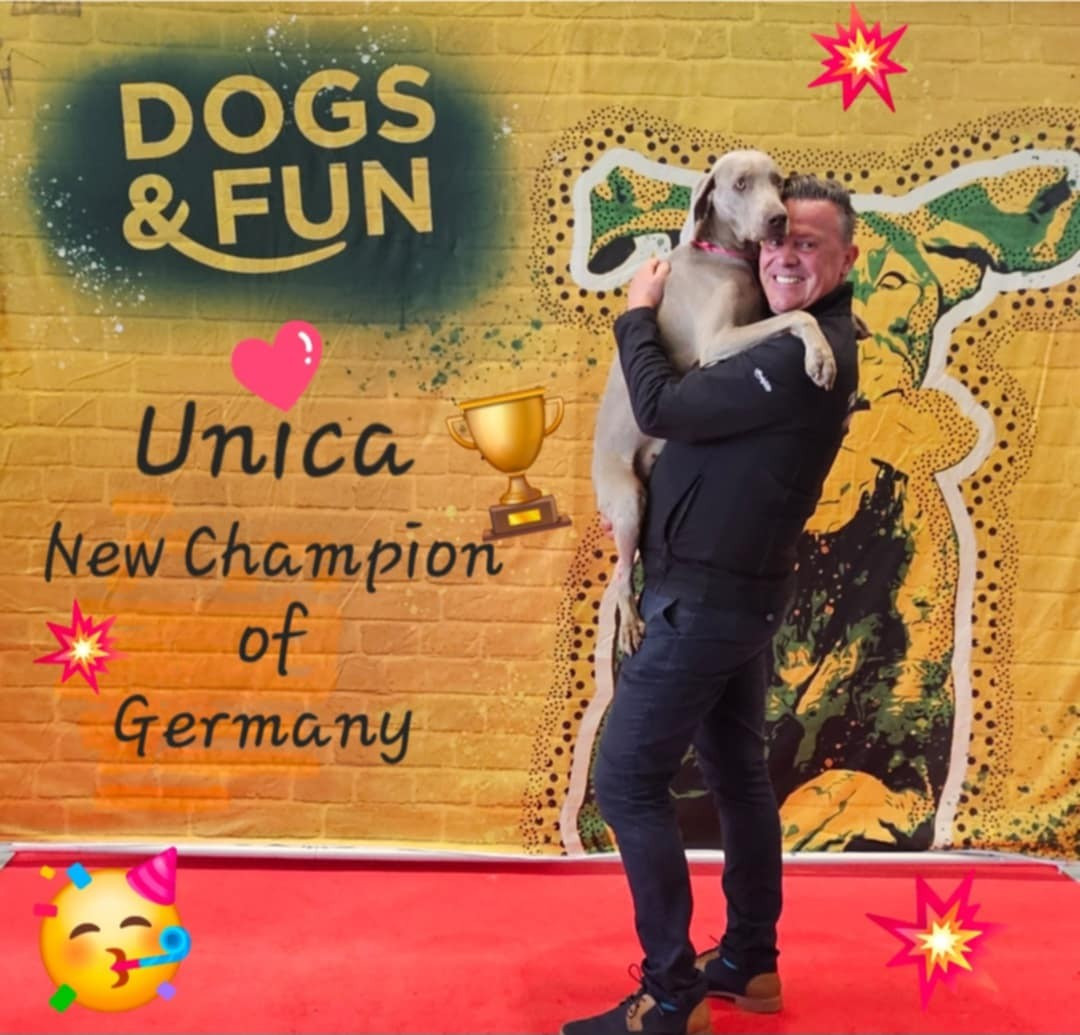 CH. Unica The Wittelsbach Del Monte Alban - 1er Exc+ FCI-CACIB + Anw.Dt.CH. VDH + CAC Neutral+BOB+Sieger dortmund