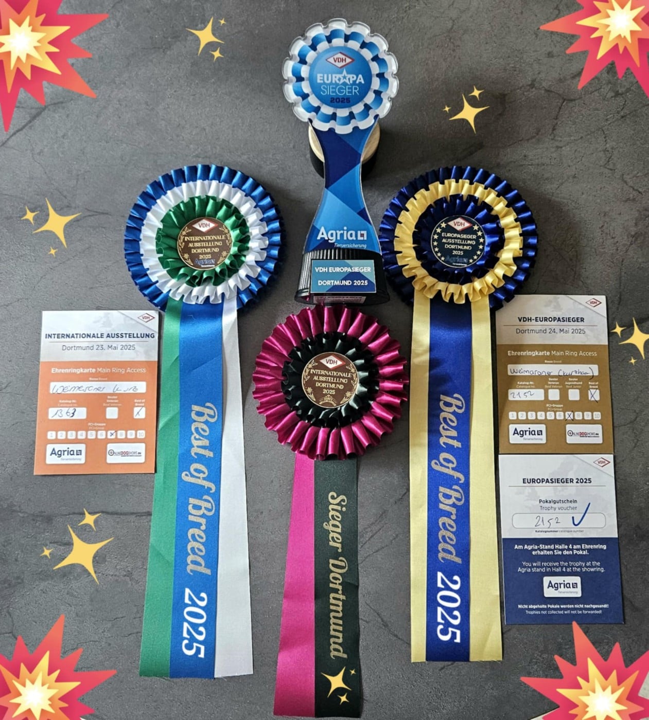 CH. Unica The Wittelsbach Del Monte Alban - 1er Exc+ FCI-CACIB + Anw.Dt.CH. VDH + CAC Neutral+BOB+Alpensieger