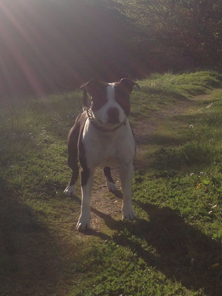 Publication : (Sans Affixe) Auteur : Doriane HENRY