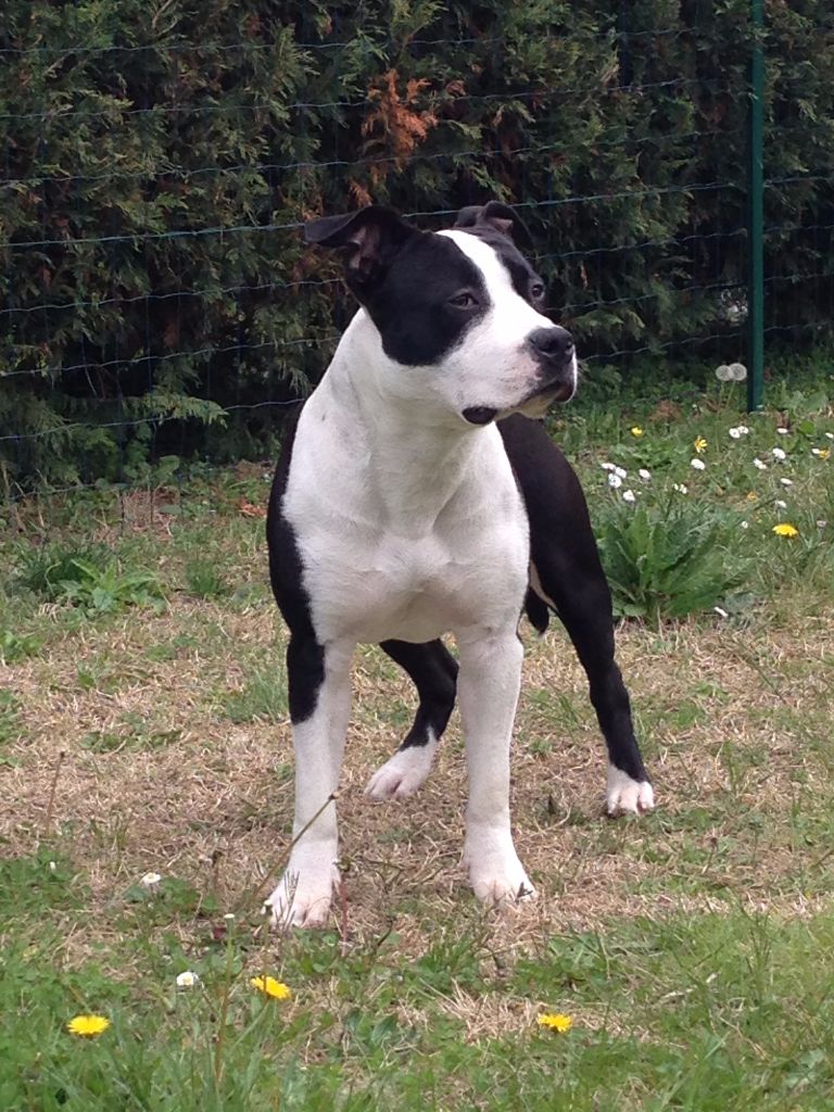 Publication : (Sans Affixe) Auteur : Doriane HENRY