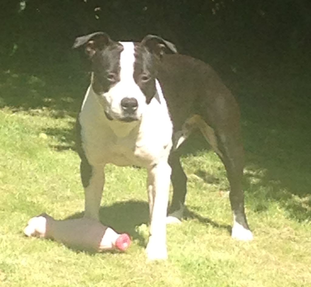 Publication : (Sans Affixe) Auteur : Doriane HENRY