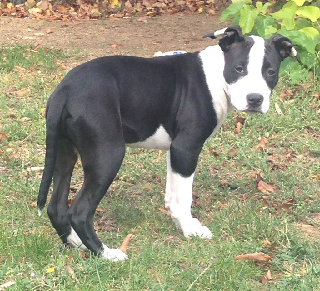 Publication : (Sans Affixe) Auteur : Doriane HENRY