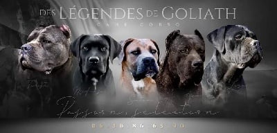 des Légendes de Goliath