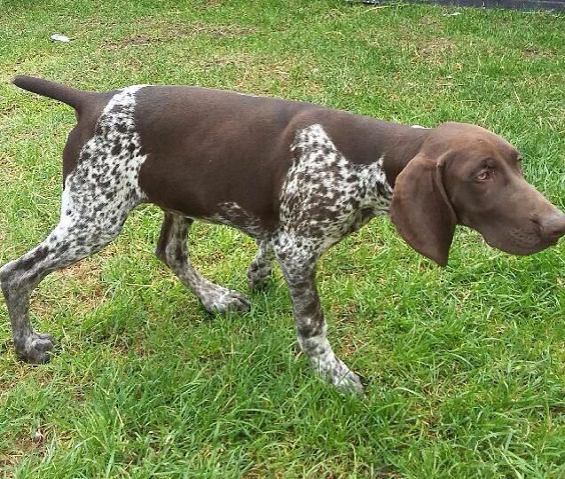 Publication : des Mannes Fleuries