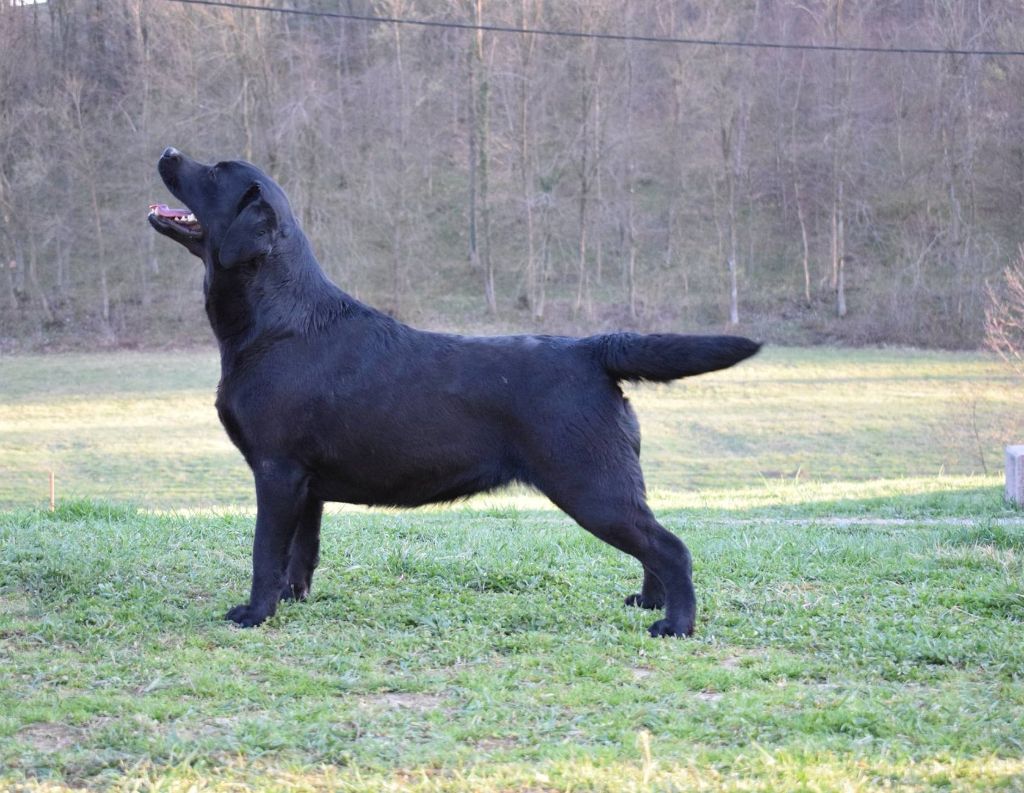 Gracia strong wind - CACS