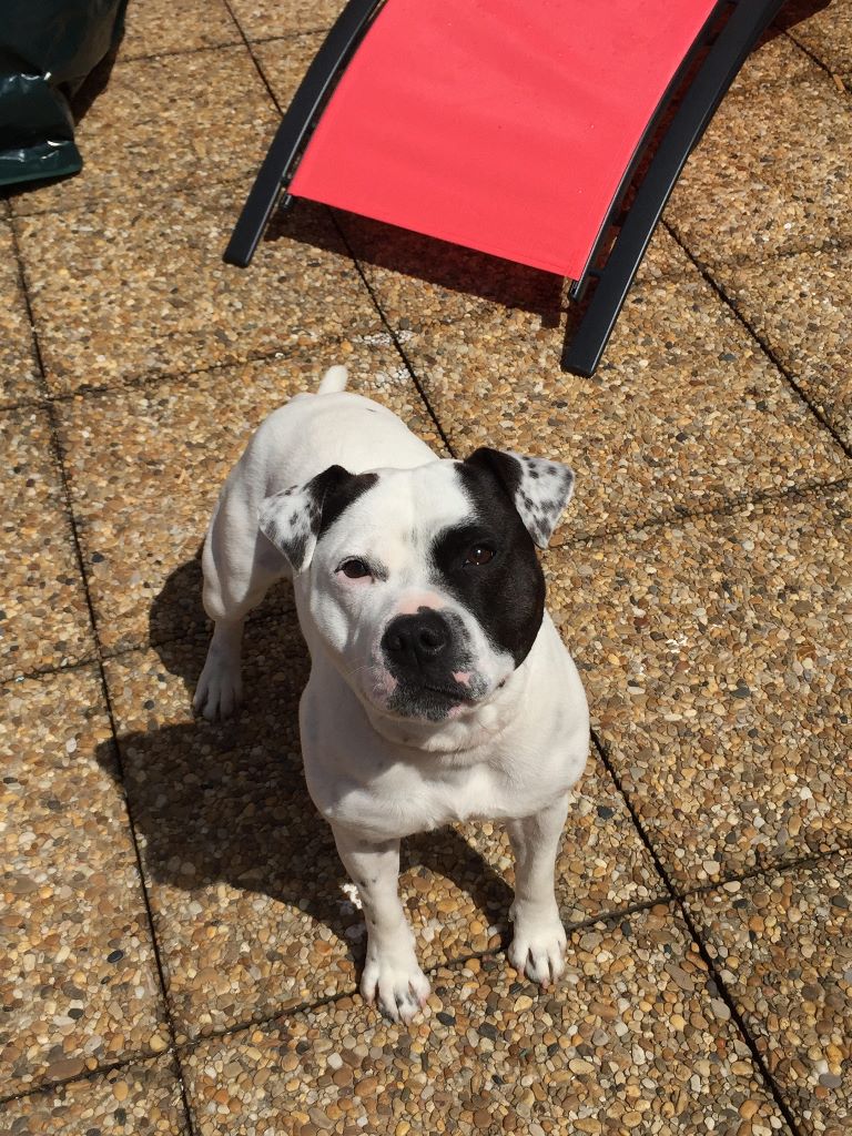 Publication : (Sans Affixe)