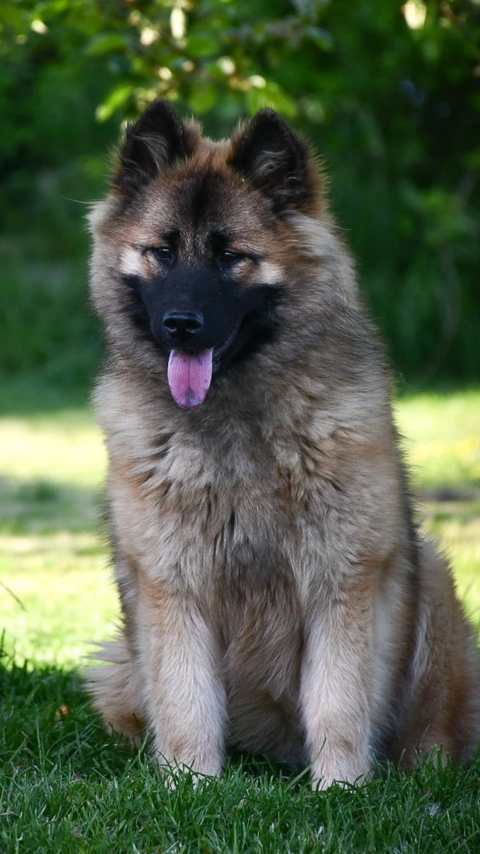 Publication : Du Monde De Gaomi