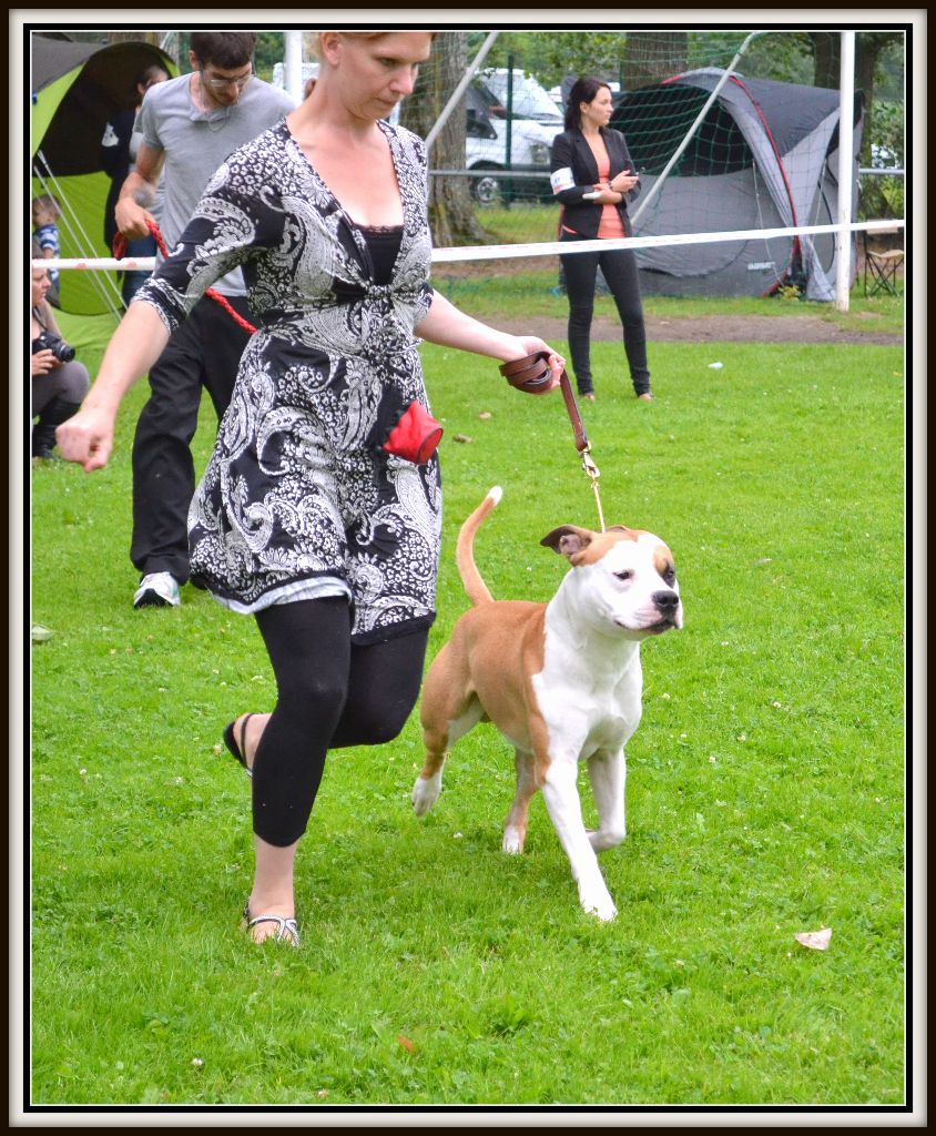 Publication : (Sans Affixe)