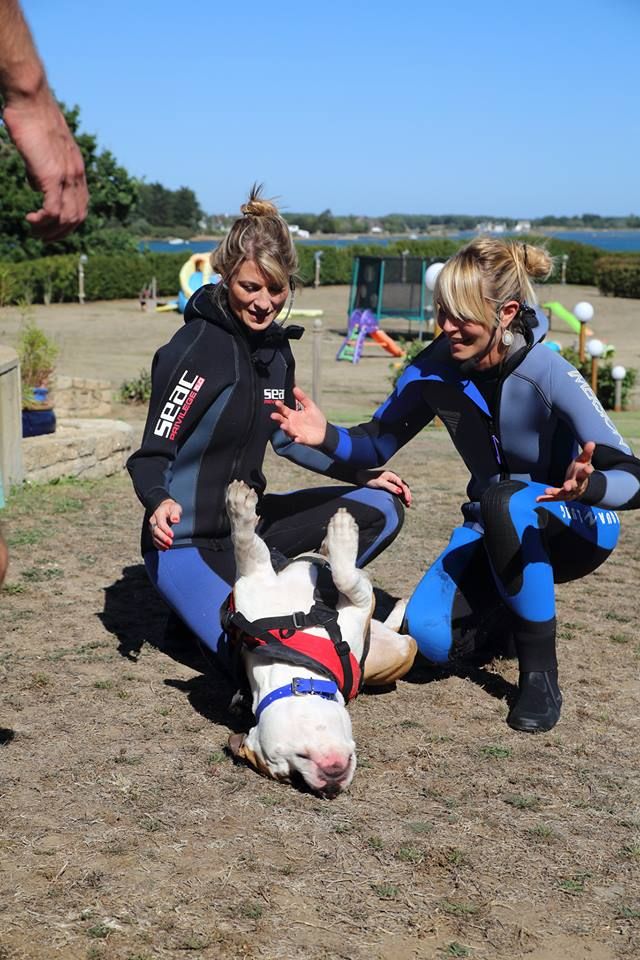 Publication : (Sans Affixe)