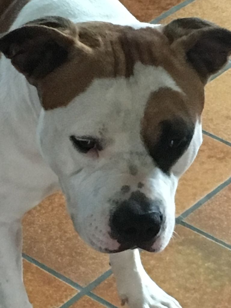 Publication : (Sans Affixe)