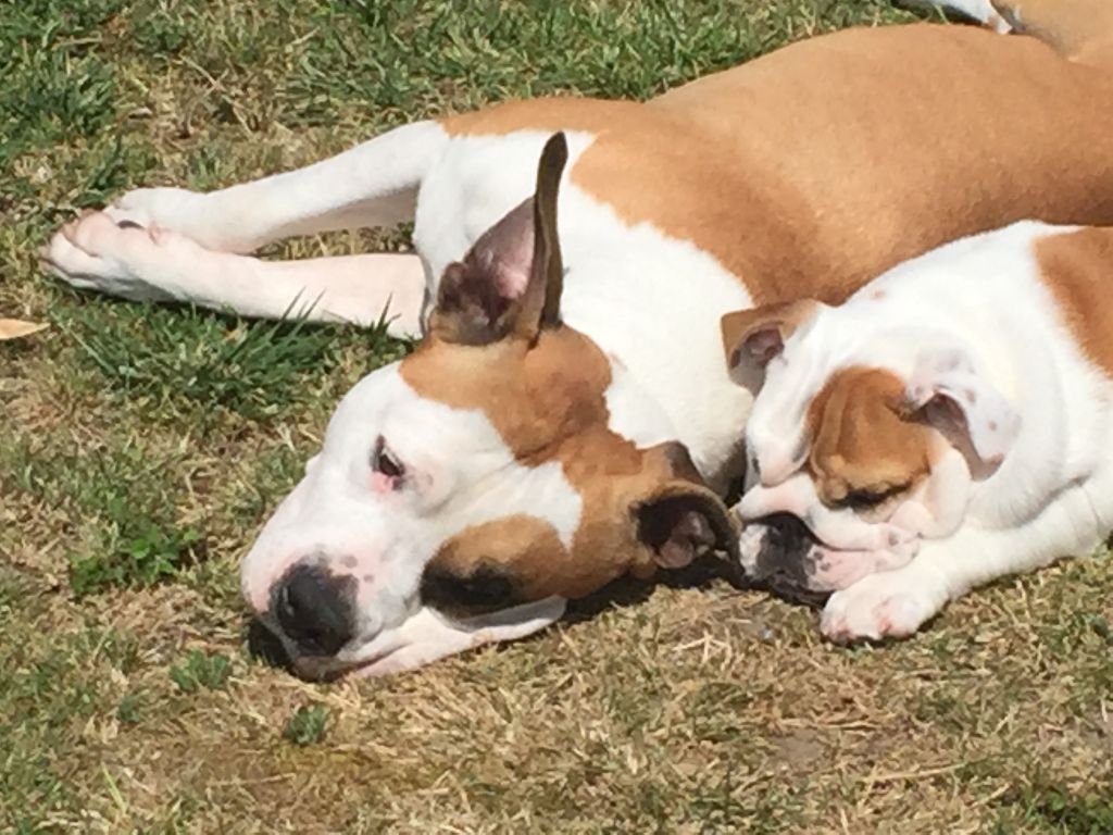 Publication : (Sans Affixe)