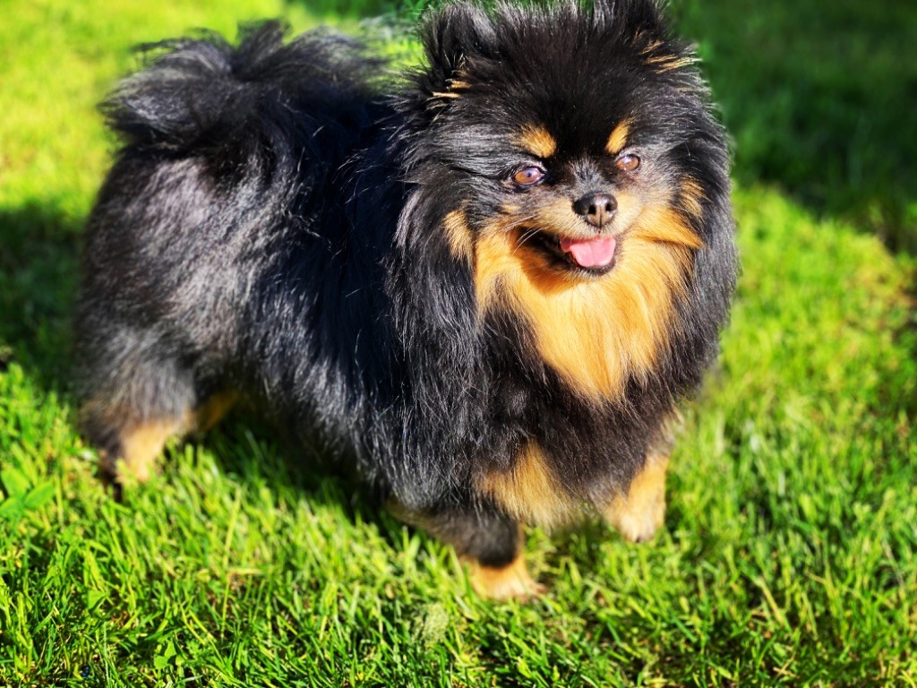 Publication : Du Domaine Des Bisounours