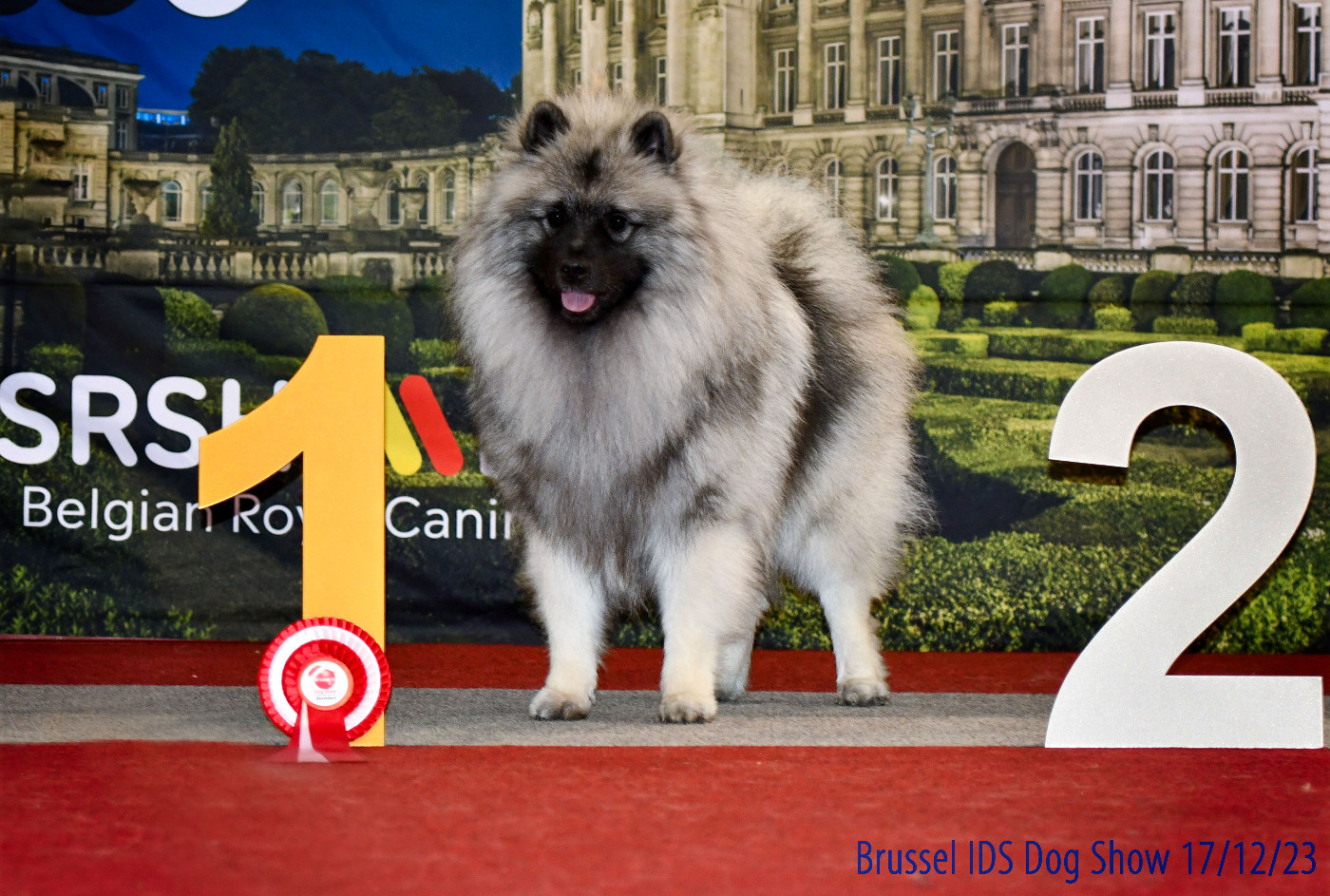 Twinkling moonlight diamond De La Lumière D'Héméra