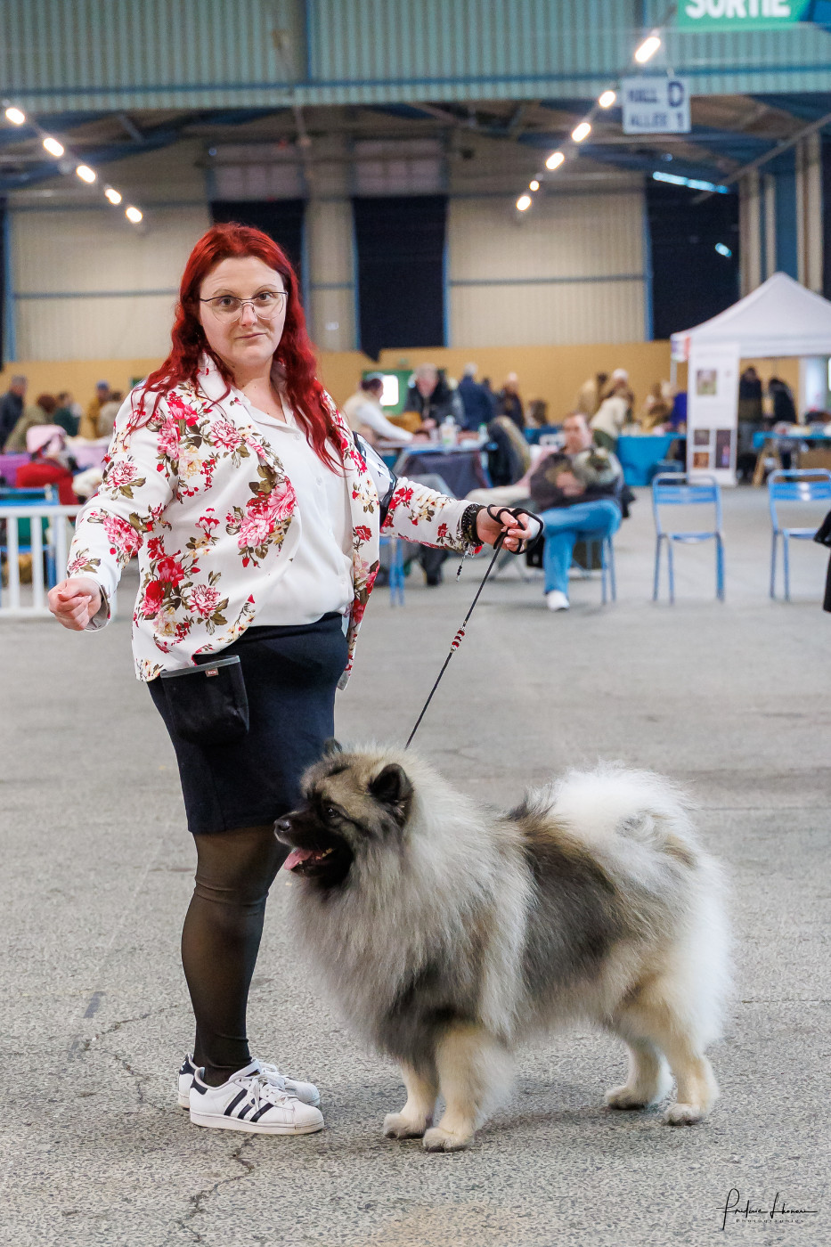 Twinkling moonlight diamond De La Lumière D'Héméra