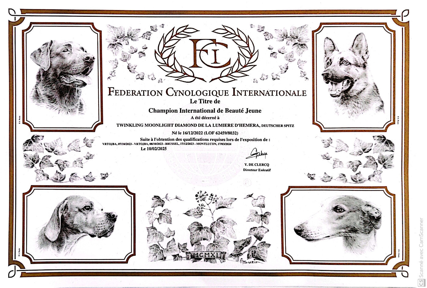 Twinkling moonlight diamond De La Lumière D'Héméra