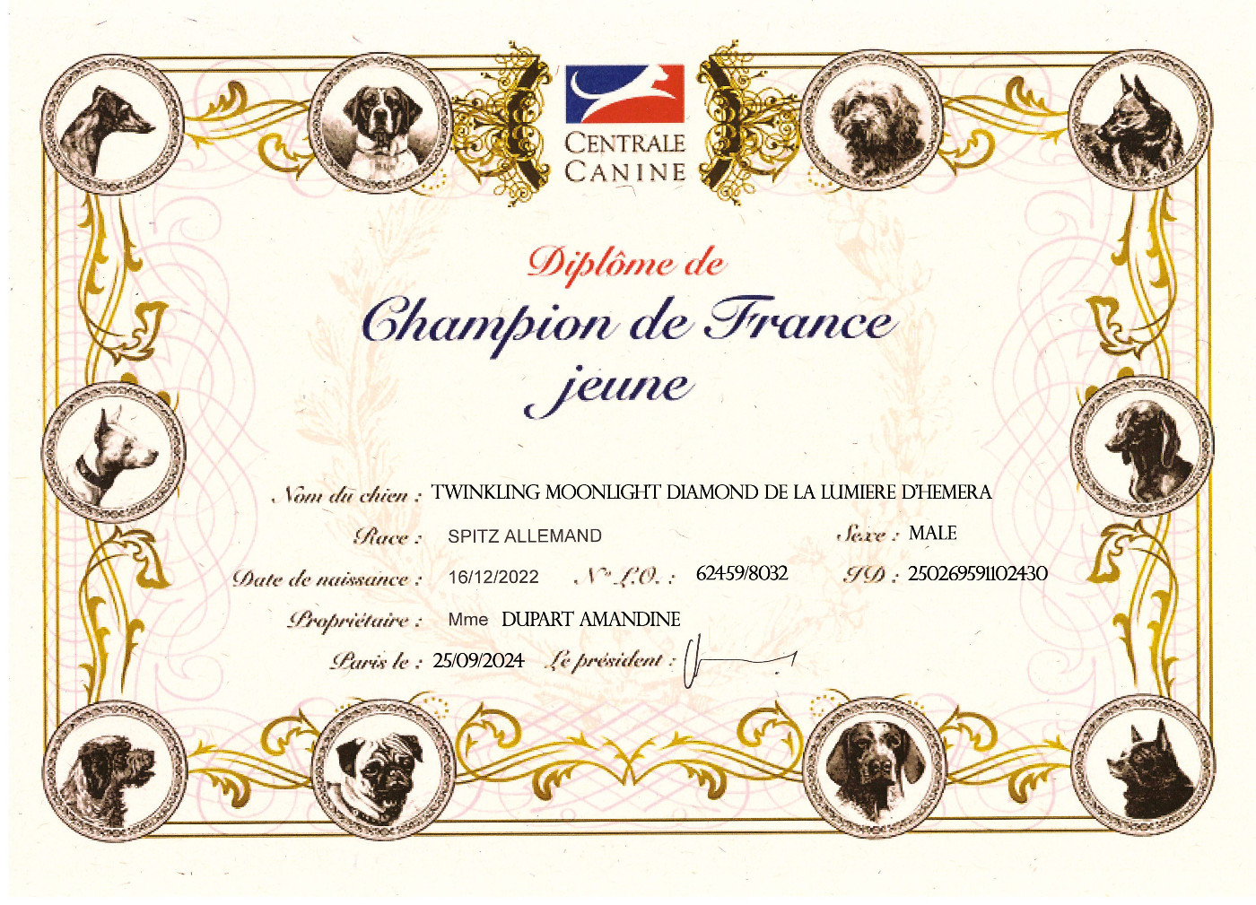 Twinkling moonlight diamond De La Lumière D'Héméra