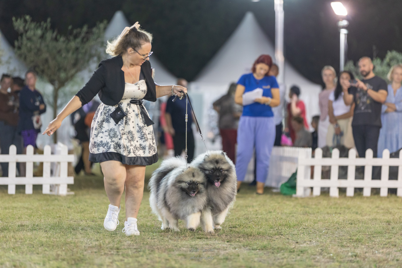 Twinkling moonlight diamond De La Lumière D'Héméra