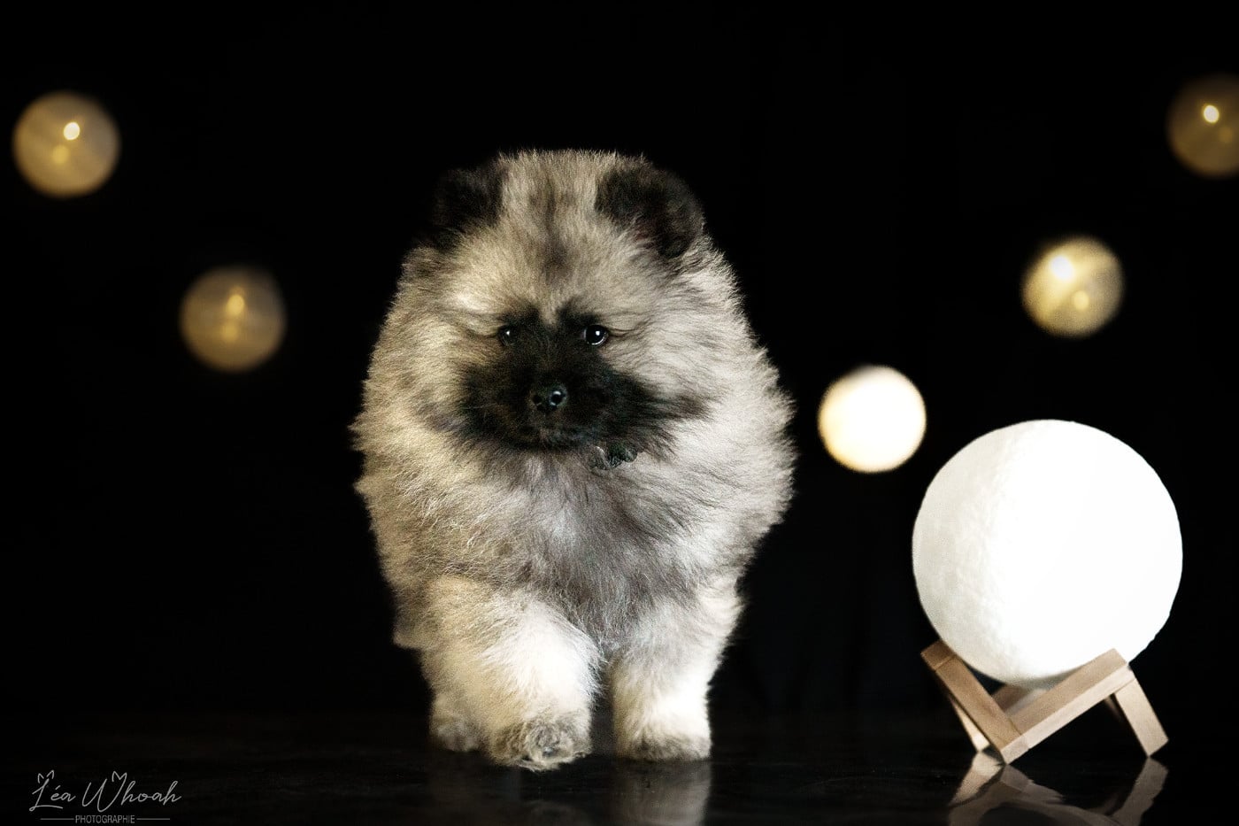 Twinkling moonlight diamond De La Lumière D'Héméra