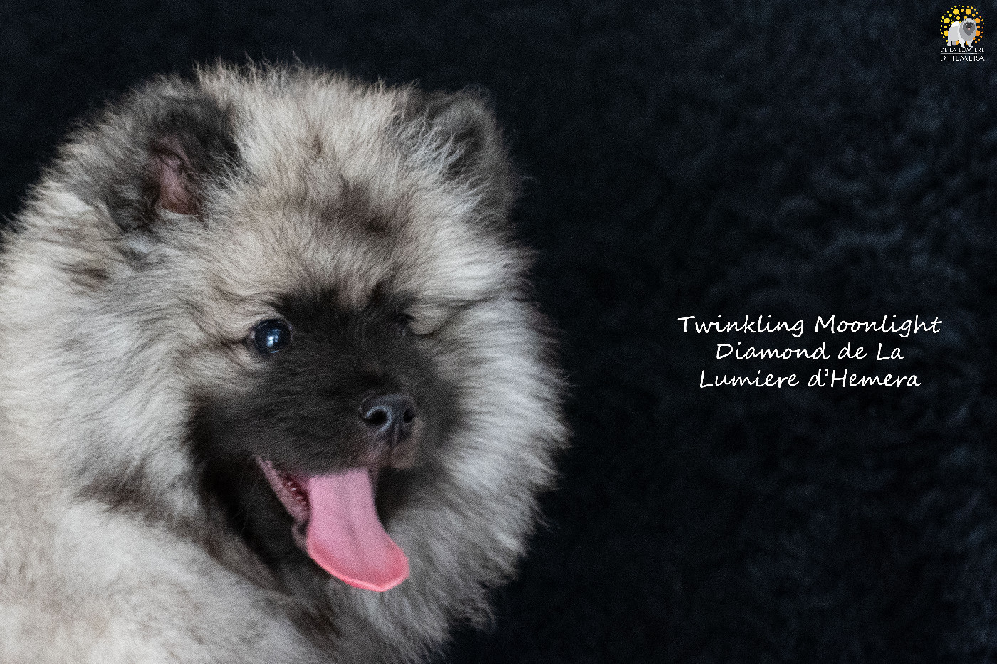 Twinkling moonlight diamond De La Lumière D'Héméra