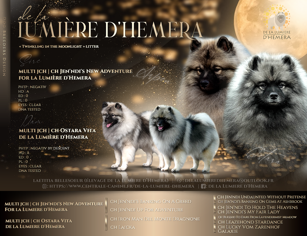 Twinkling moonlight diamond De La Lumière D'Héméra