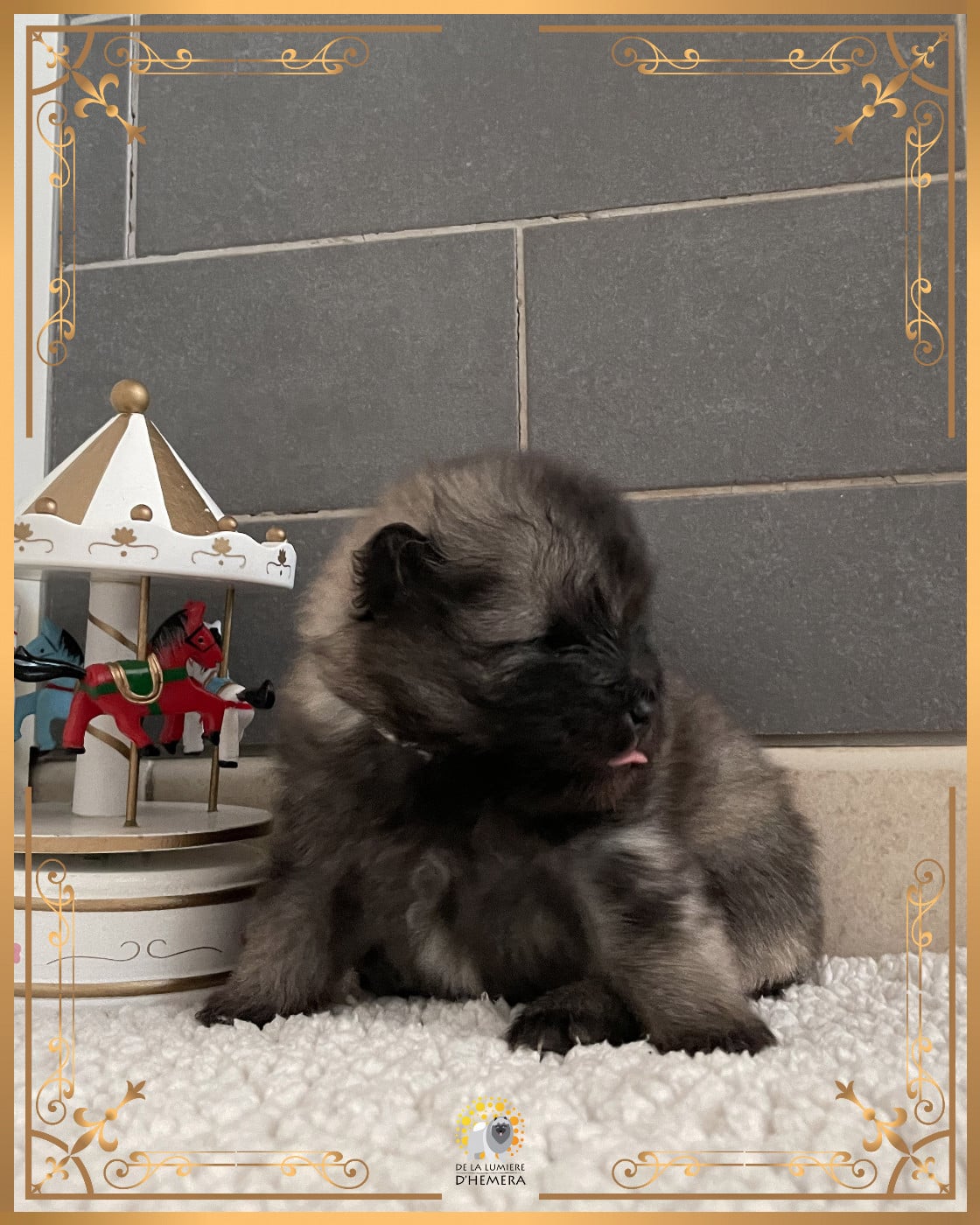 Twinkling moonlight diamond De La Lumière D'Héméra