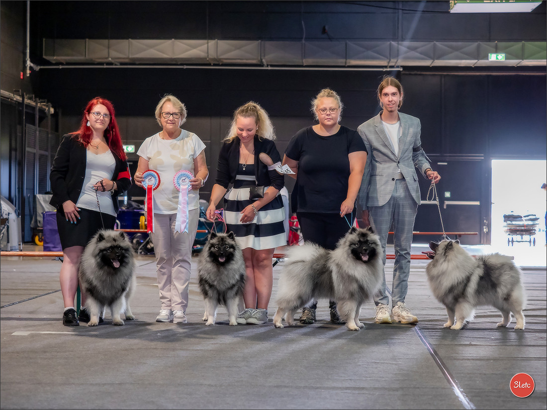 Twinkling moonlight diamond De La Lumière D'Héméra