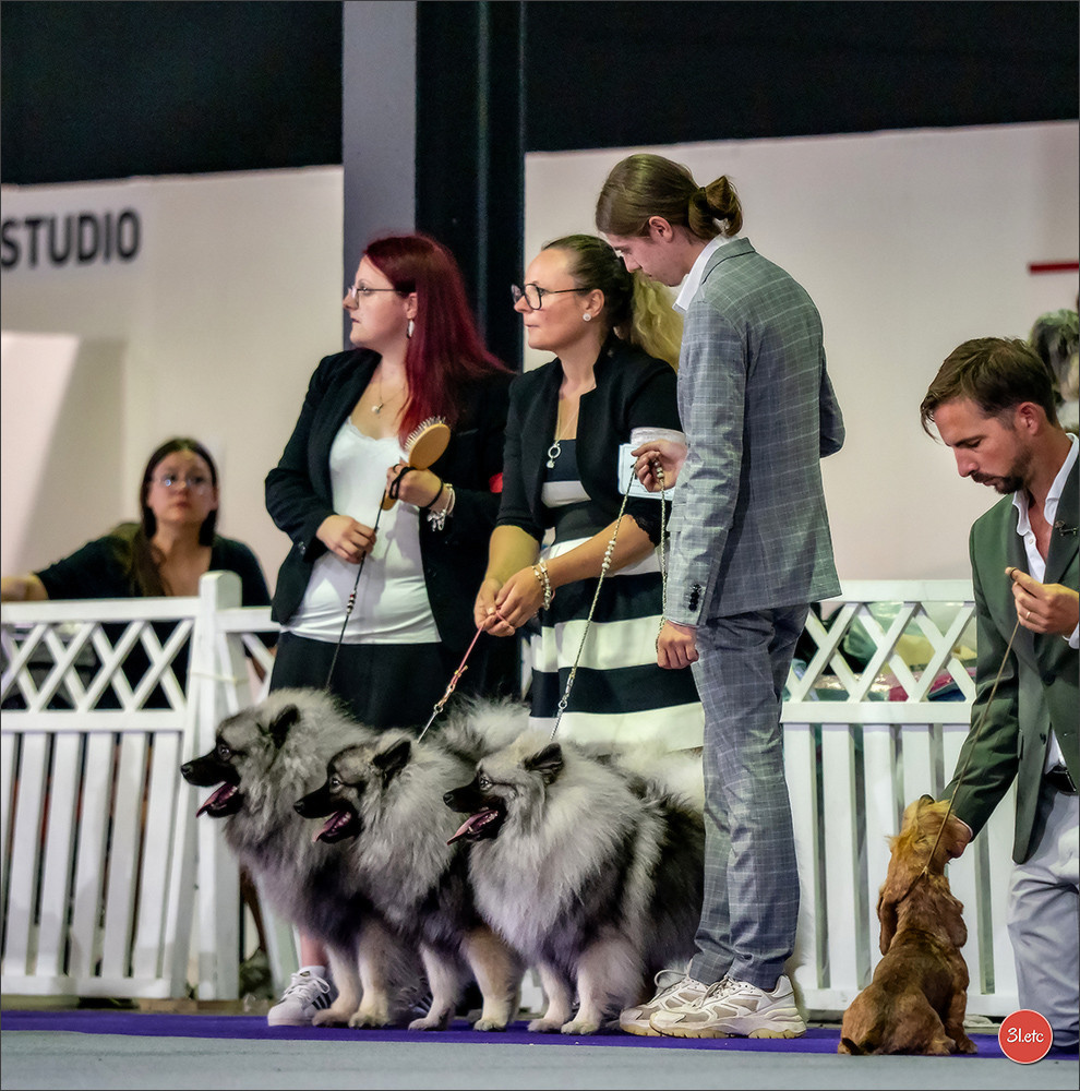 Twinkling moonlight diamond De La Lumière D'Héméra