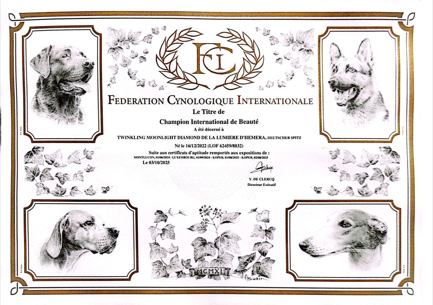 Twinkling moonlight diamond De La Lumière D'Héméra