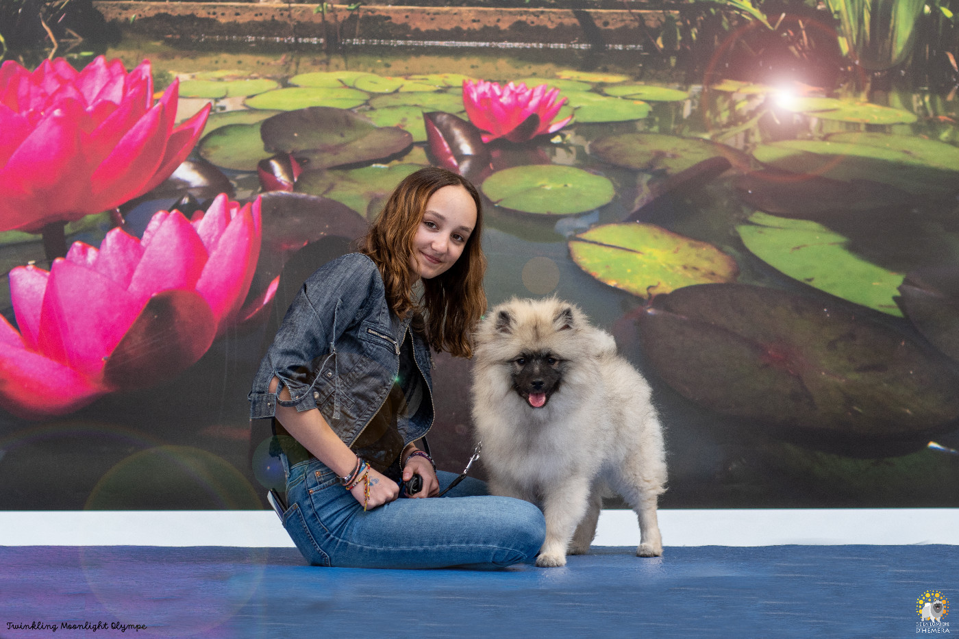 CH. Jch twinkling moonlight olympe De La Lumière D'Héméra