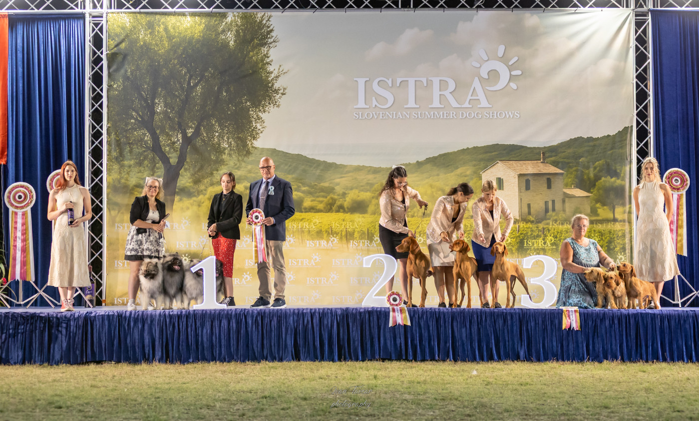 CH. Jch twinkling moonlight olympe De La Lumière D'Héméra