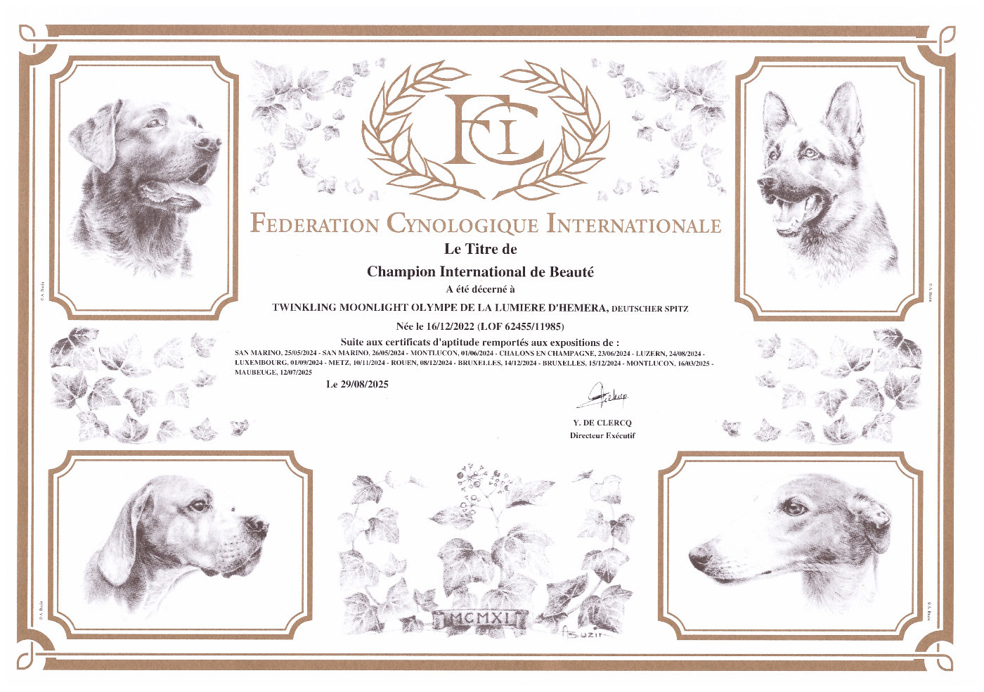 CH. Jch twinkling moonlight olympe De La Lumière D'Héméra