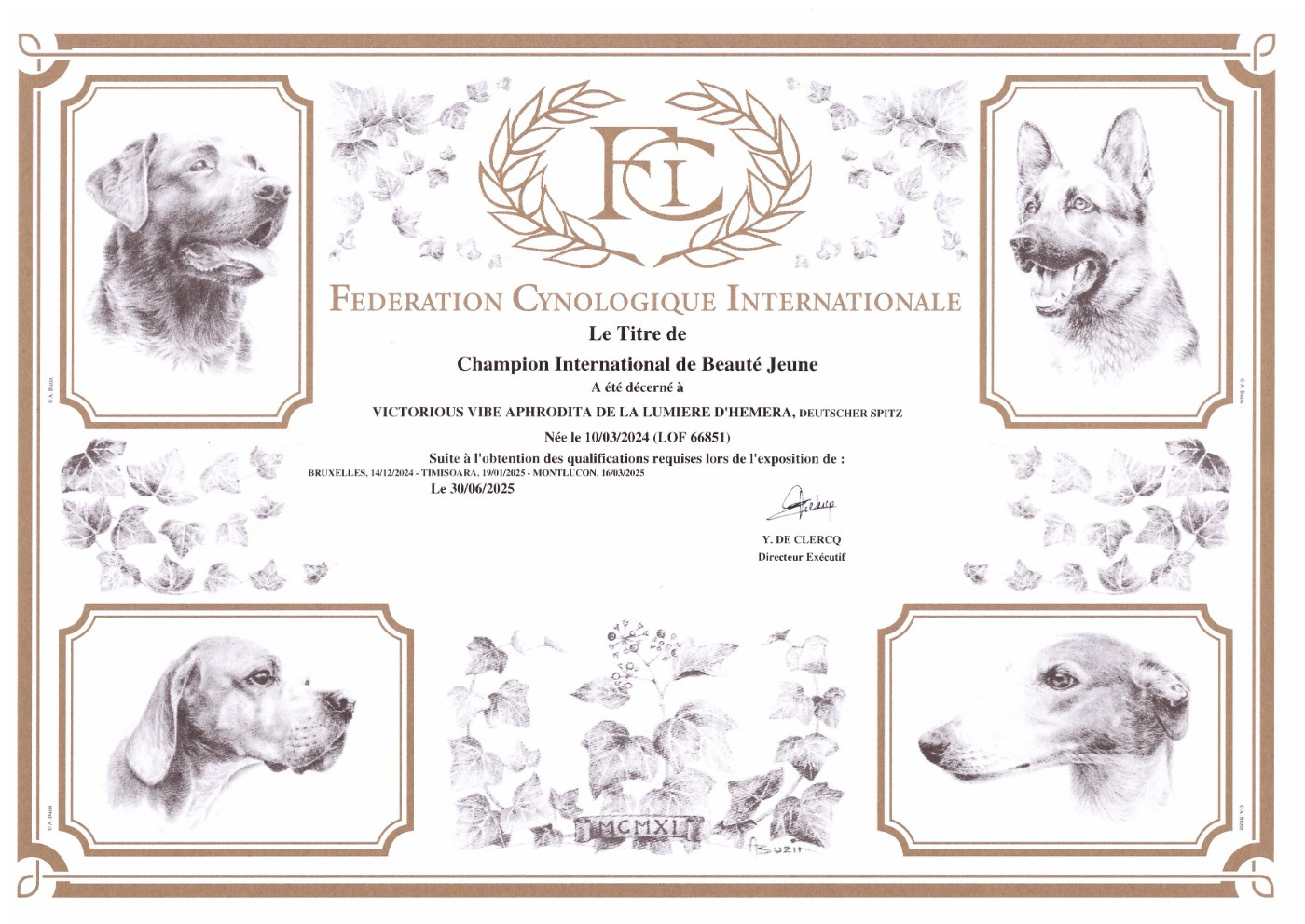 Victorious vibe aphrodita De La Lumière D'Héméra