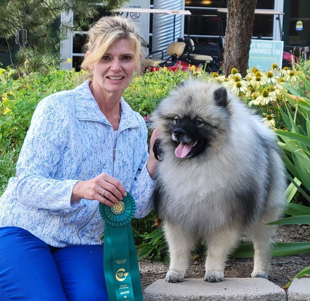 Publication : De La Lumière D'Héméra Auteur : Jennifer McClure