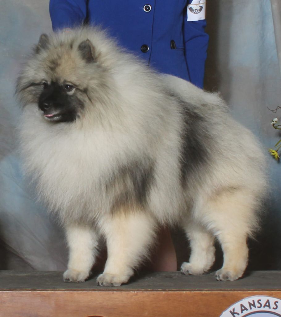 Publication : De La Lumière D'Héméra Auteur : Jennifer McClure