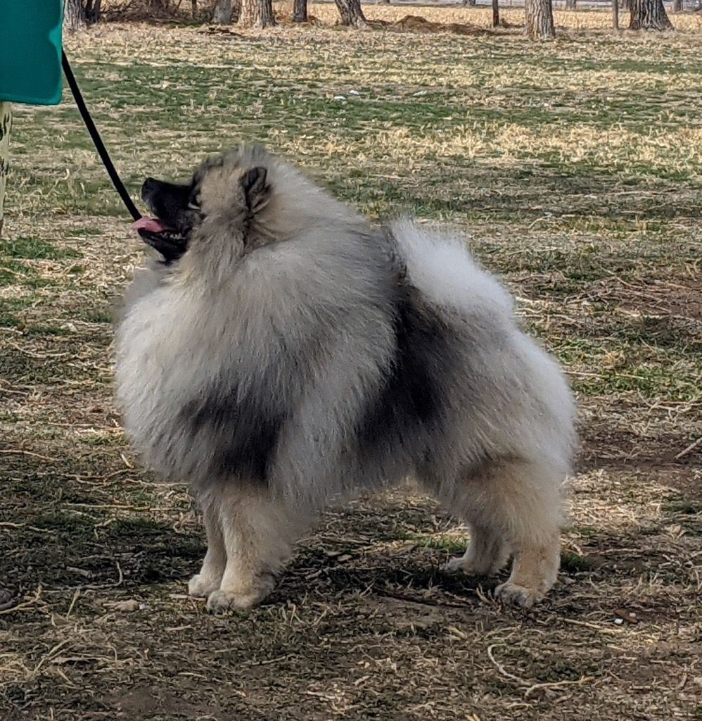 Publication : De La Lumière D'Héméra Auteur : Jennifer McClure