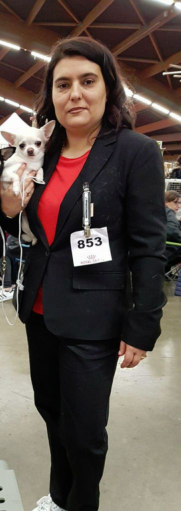 Publication : Des Ecrins De Joy Auteur : des écrins de joy