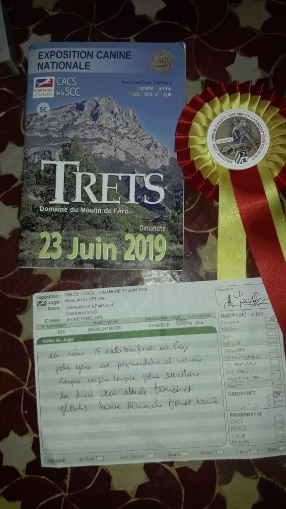 Publication : Des Ecrins De Joy Auteur : des écrins de joy