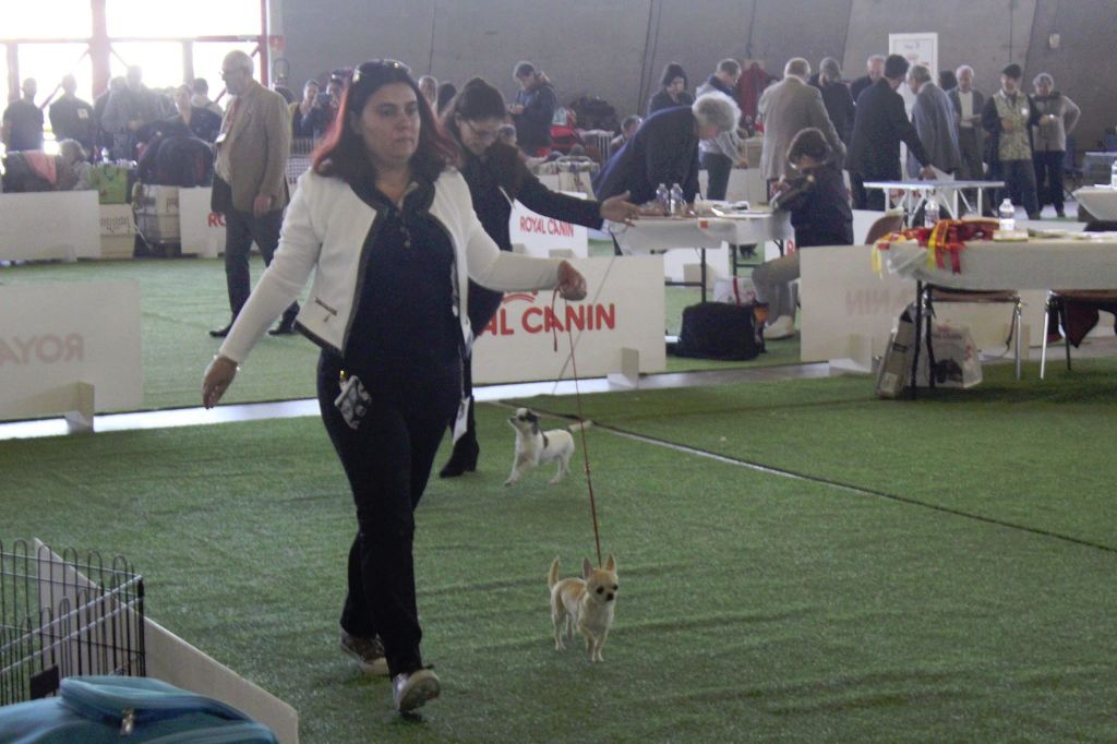 Publication : Des Ecrins De Joy Auteur : des écrins de joy