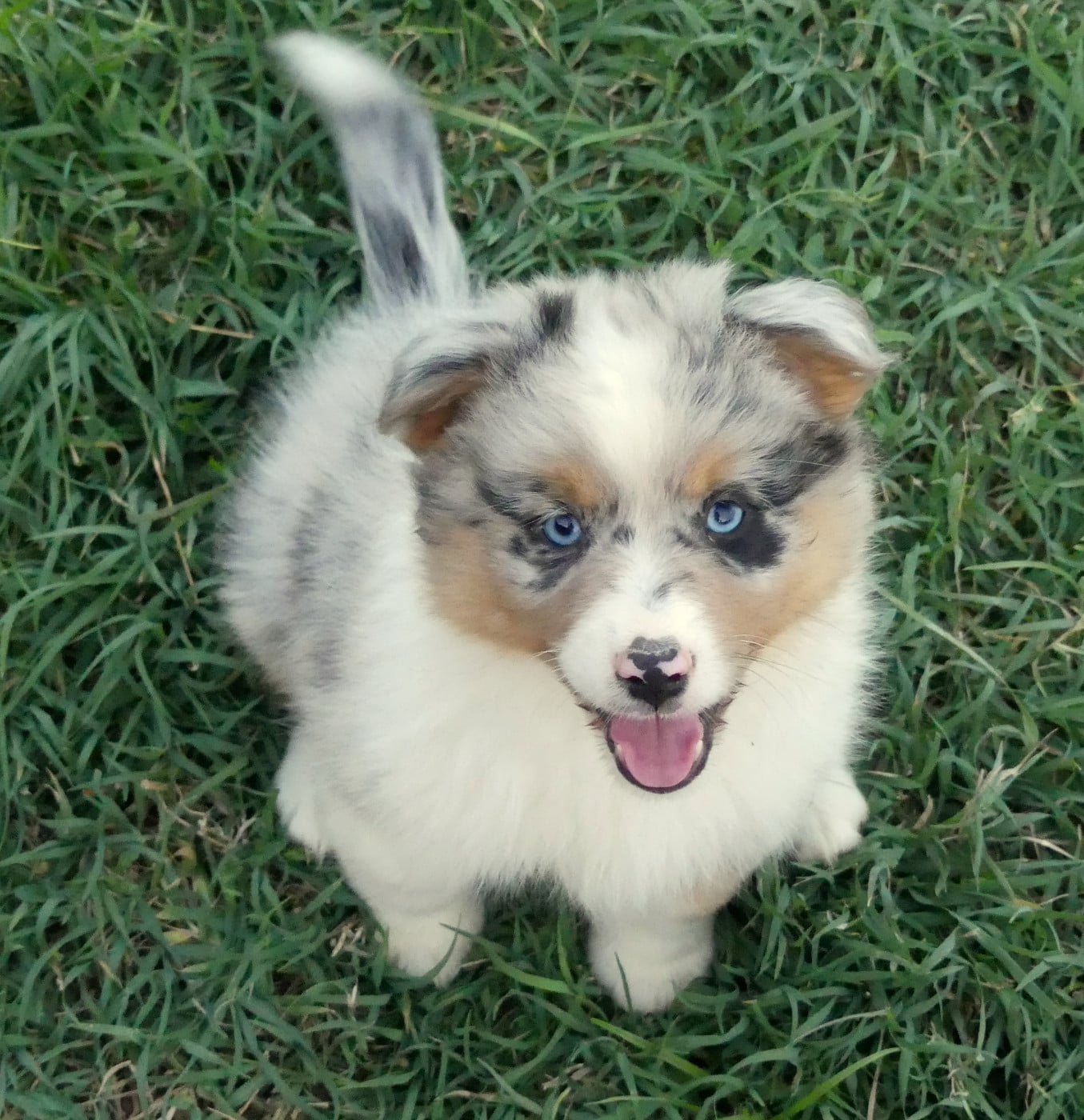 BONNIE