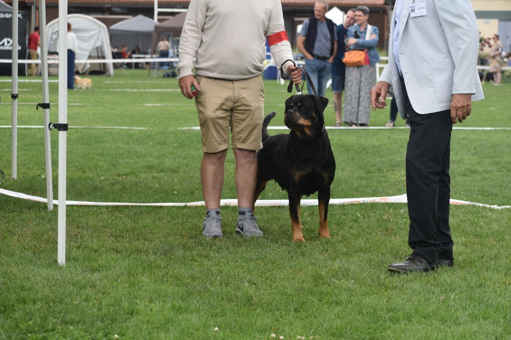 Nora de la licorne noire - 1er excellent CACS & meilleur vétéran