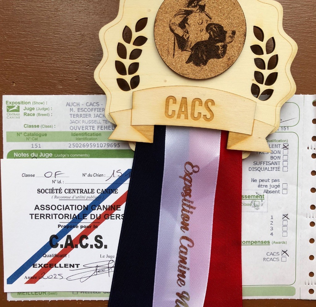 Tess tea Du Bois De Capsil - 1er EXC-CACS