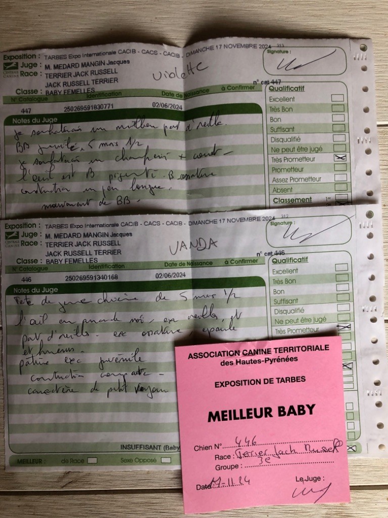 Vanda Du Bois De Capsil - 1er TP - MEILLEUR -BABY