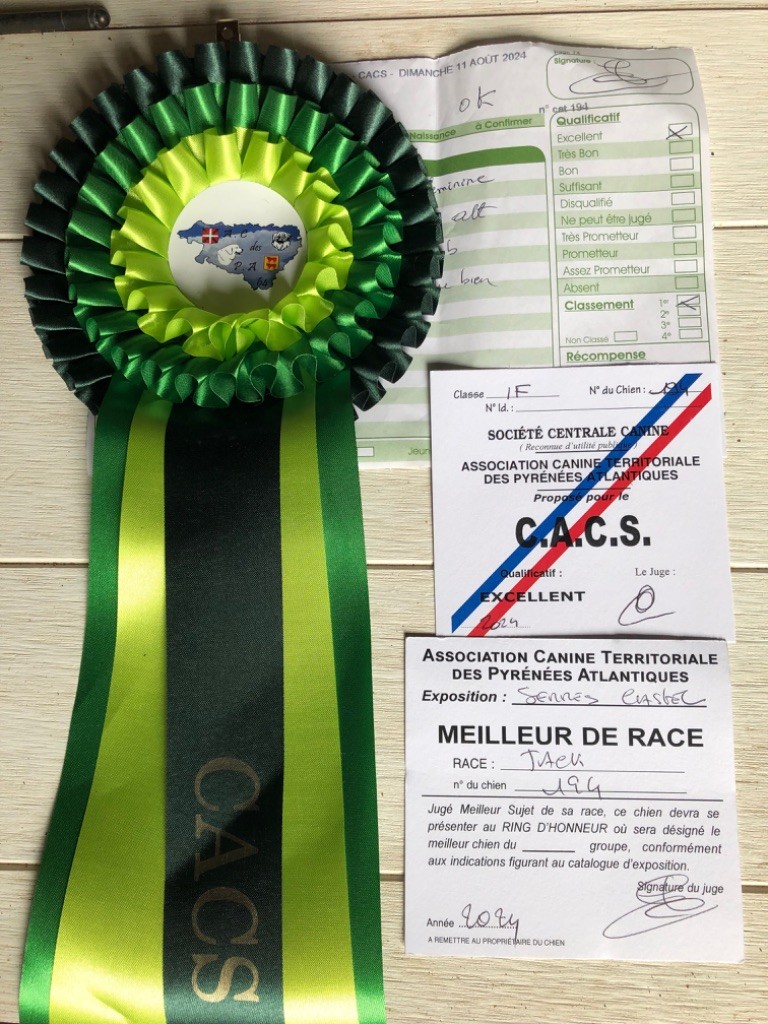 Tess tea Du Bois De Capsil - 1ere EXC - CACS - BOB (Meilleur de race)