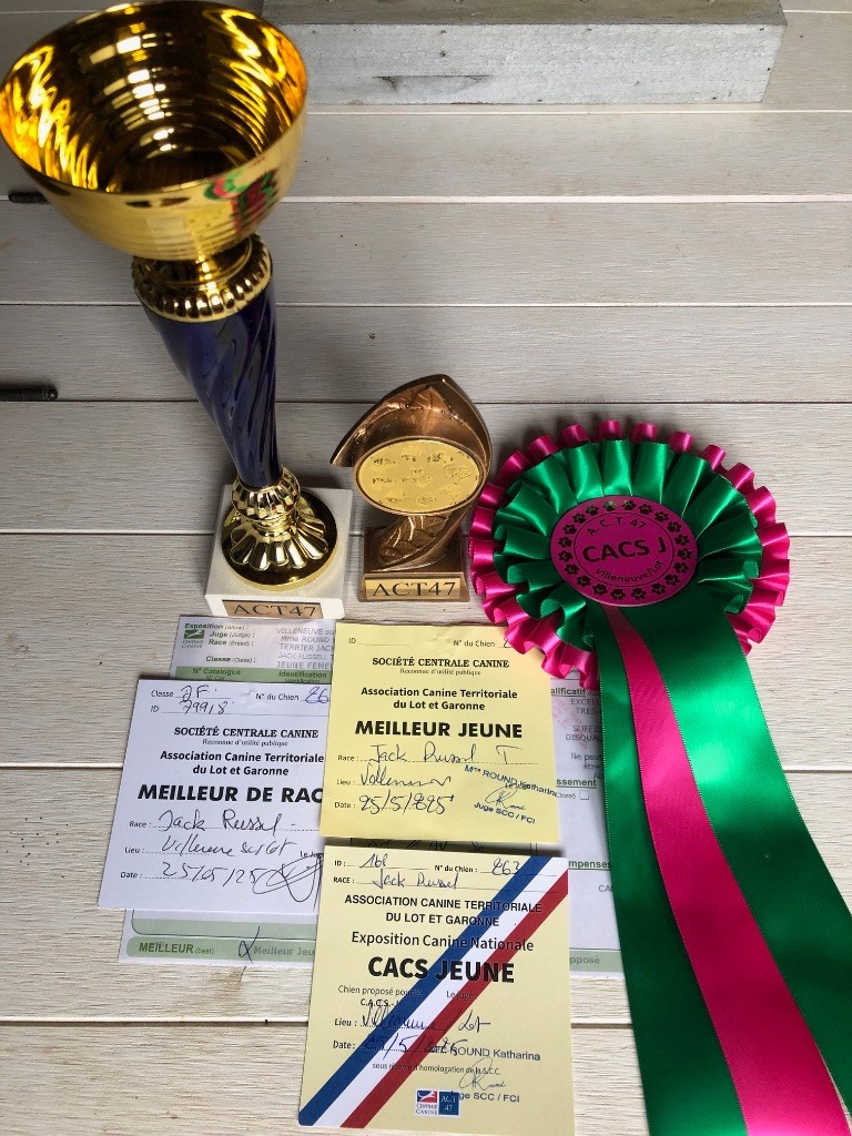Vanda Du Bois De Capsil - 1ere EXC - CACSJ - Meilleur Jeune - Meilleur de race - 1ere JBOG - 3e BOG