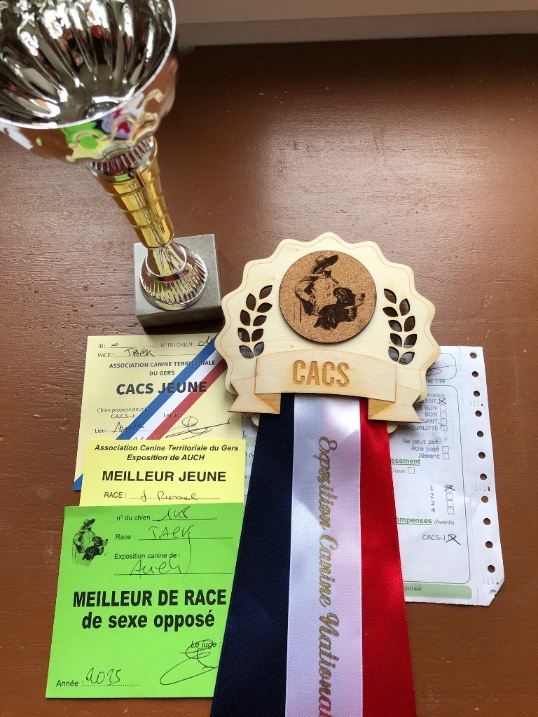 Vanda Du Bois De Capsil - 1er EXC-CACSJ-Meilleur jeune-BOS-JBOG2