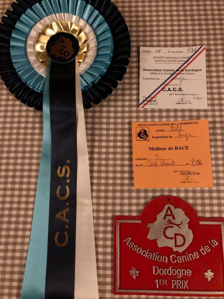 Ruby girl Du Bois De Capsil - 1ere EXC en classe intermédiaire